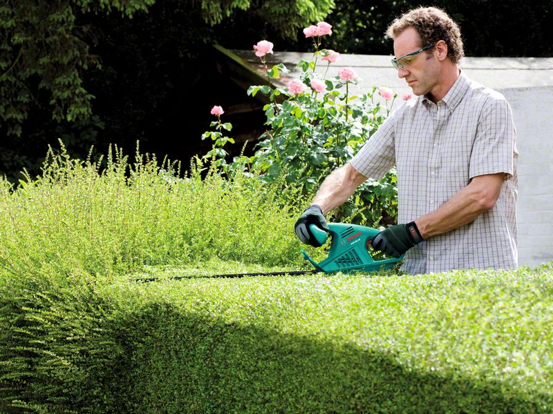 3165140582612 ������� 1