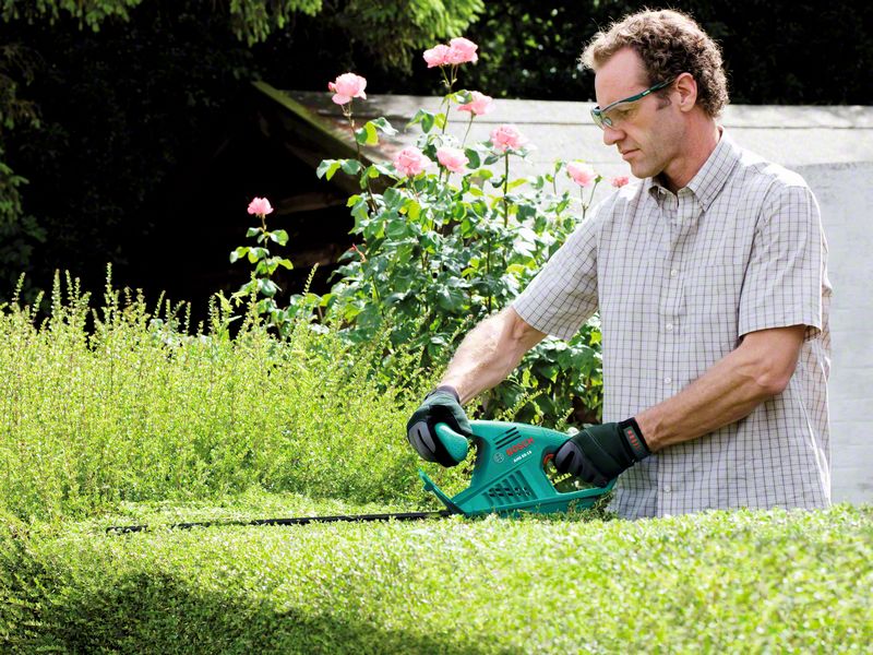 3165140582667 ������� 1