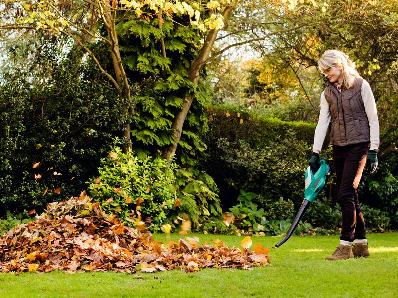 3165140619974 ������� 1