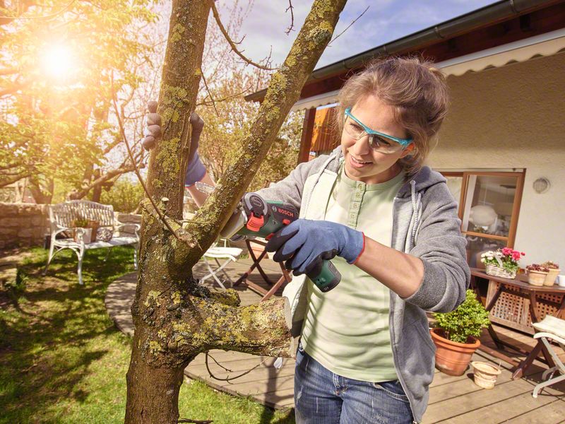 3165140830812 ������� 2