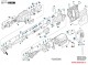 1619P20255